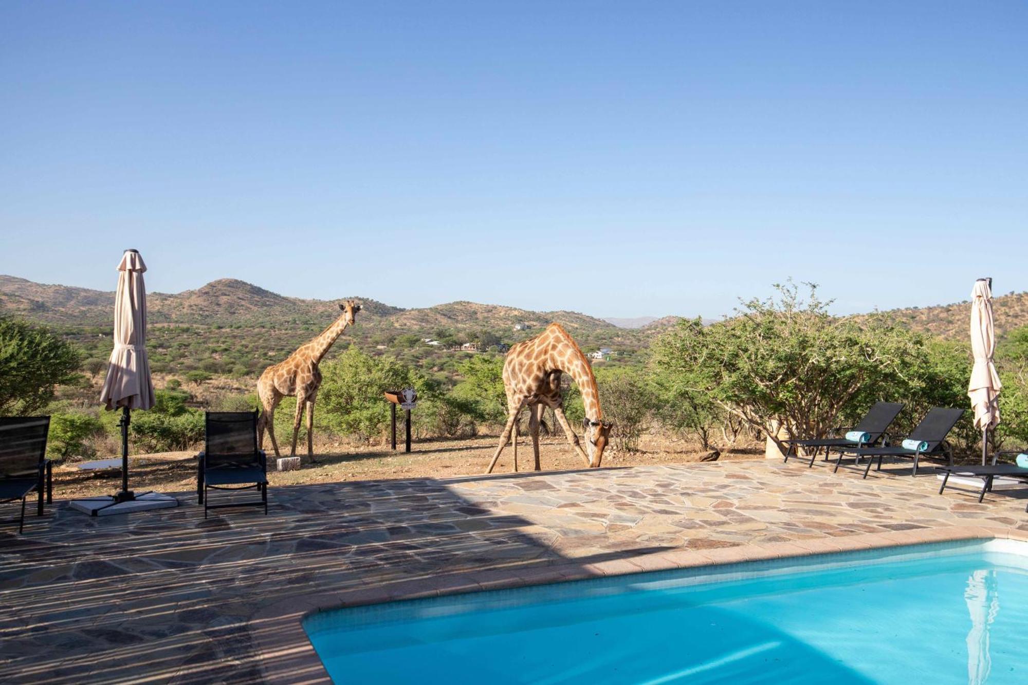 Windhoek Game Camp Lafrenz Township Exteriér fotografie