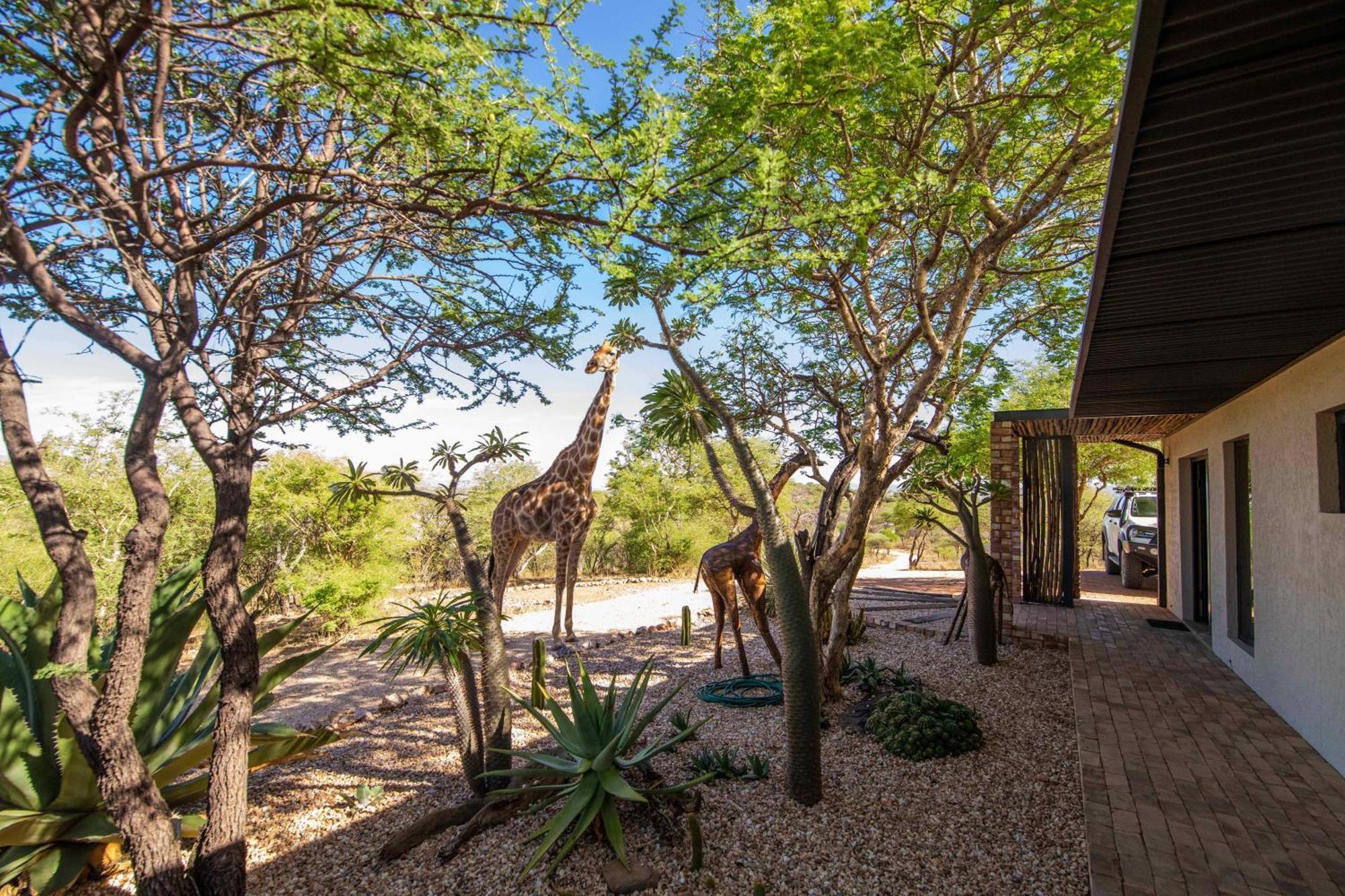 Windhoek Game Camp Lafrenz Township Exteriér fotografie