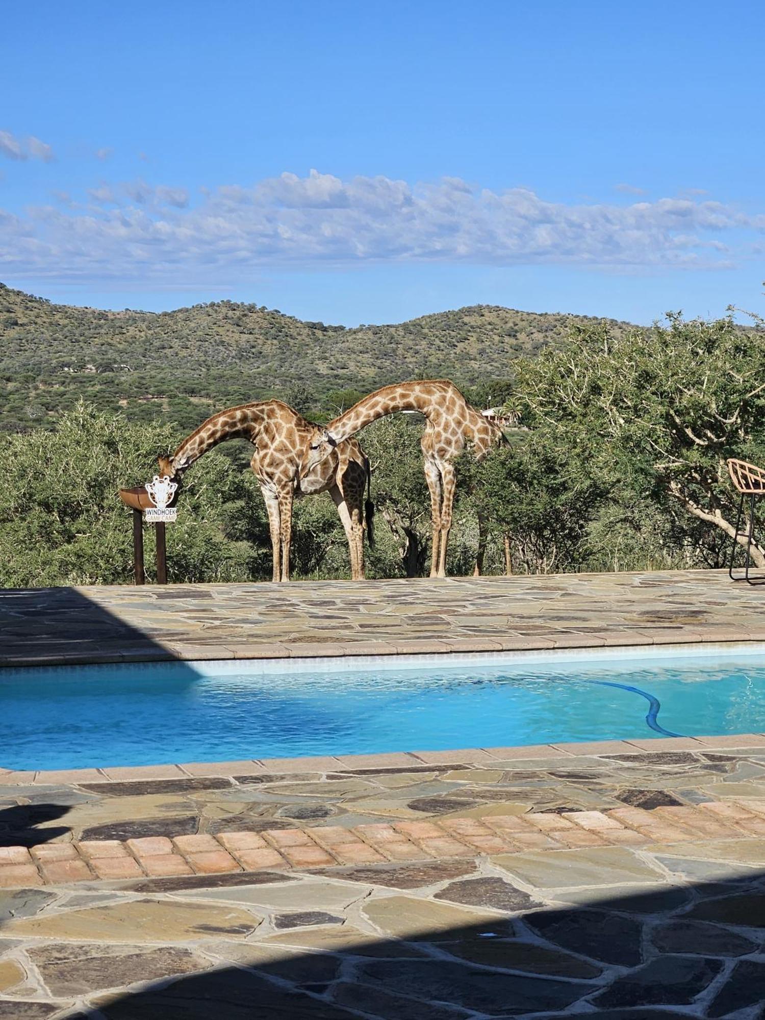 Windhoek Game Camp Lafrenz Township Exteriér fotografie