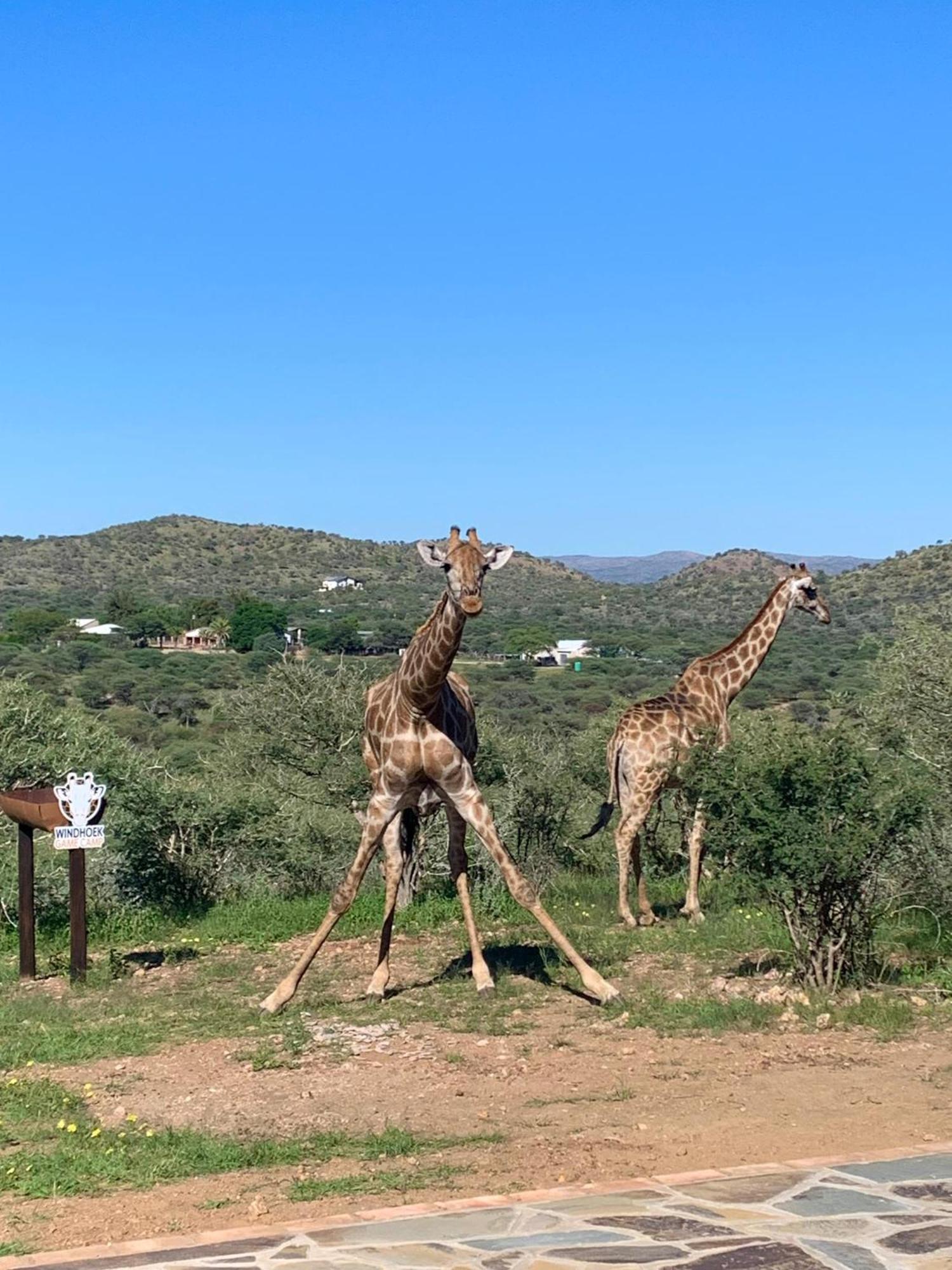 Windhoek Game Camp Lafrenz Township Exteriér fotografie